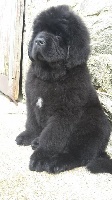 Lenny 