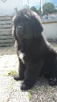 Largo 